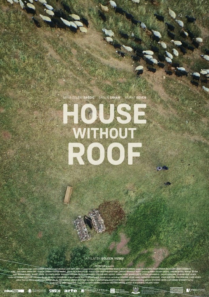 Дом без крыши (2016)