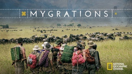 Миграции (2016)