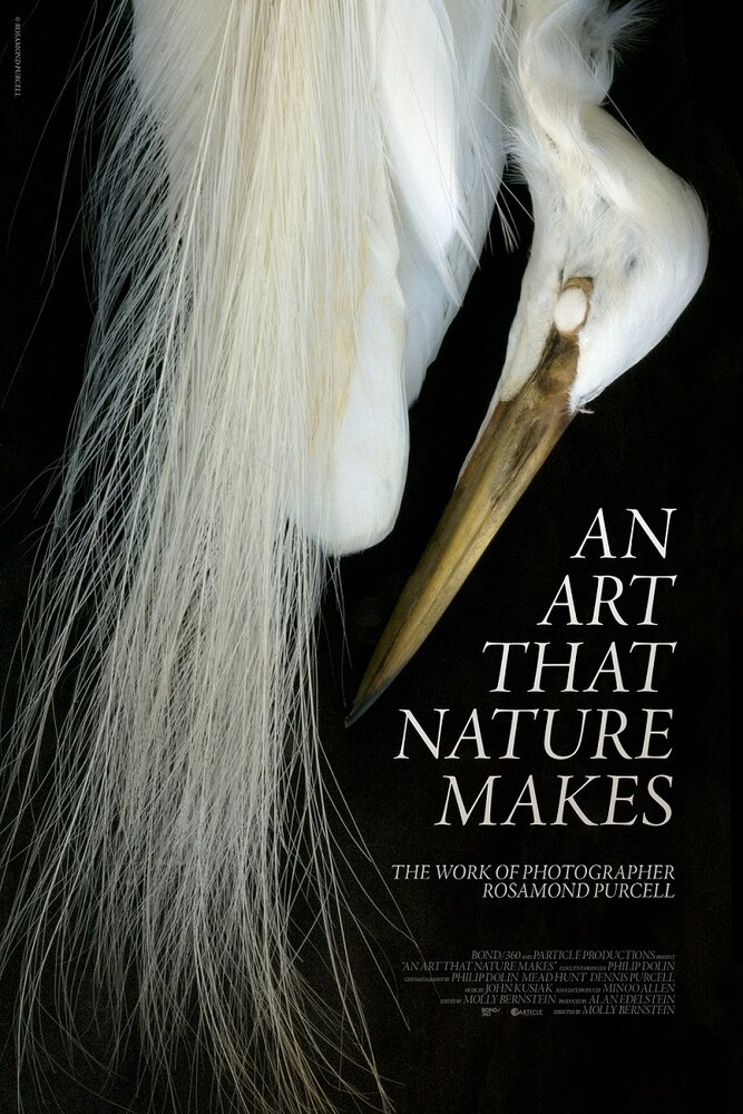An Art That Nature Makes: The Work of Rosamond Purcell (2015)