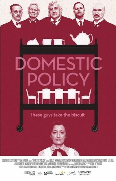 Domestic Policy (2016)
