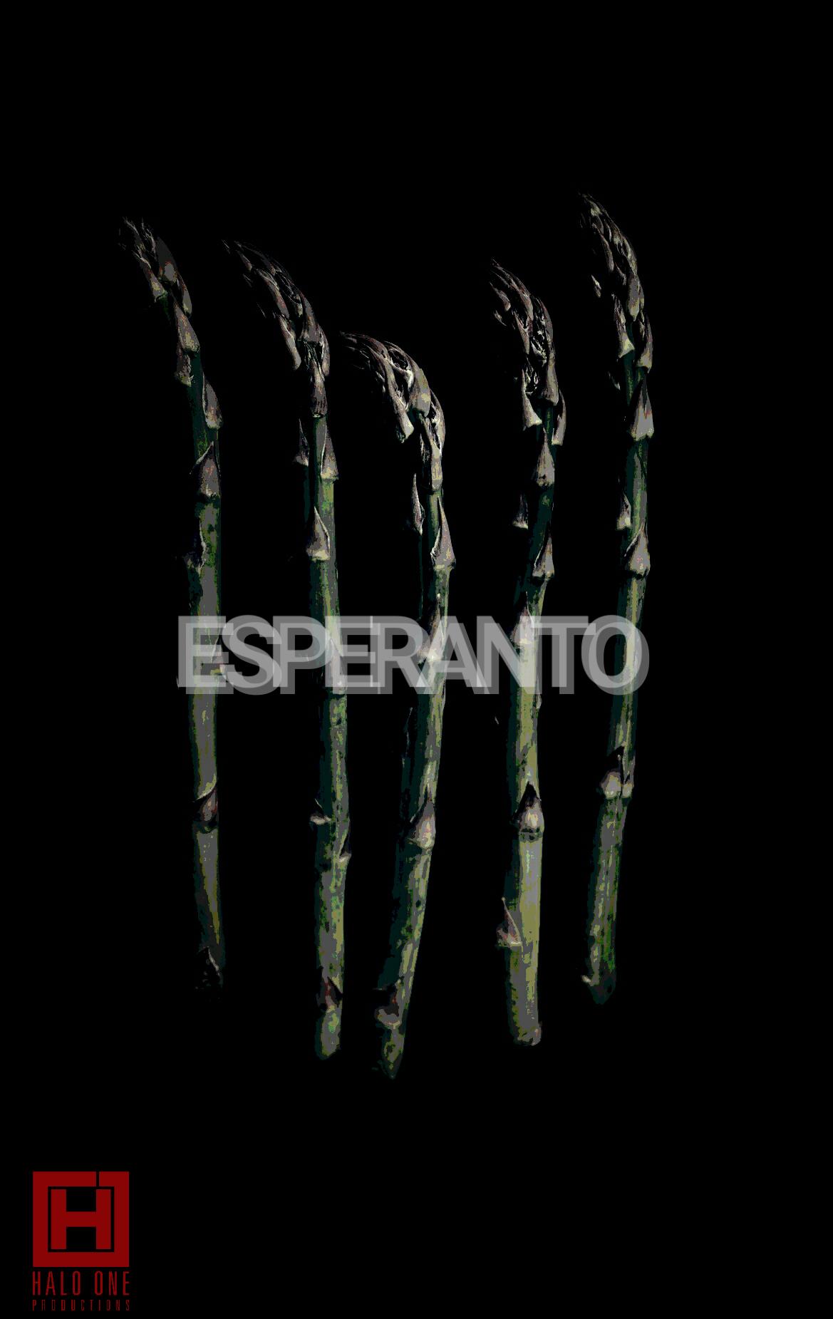 Esperanto (2010)