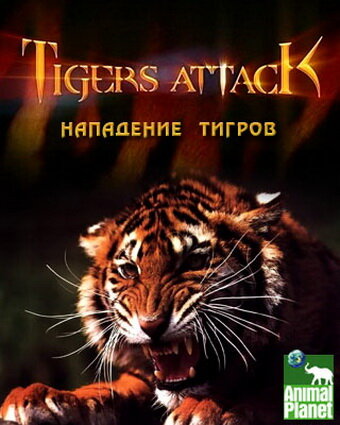 Нападение тигров (2007)